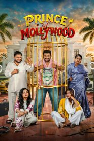 Prince of Mollywood: Season 1